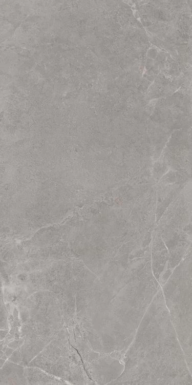 Porseleinen vloertegels